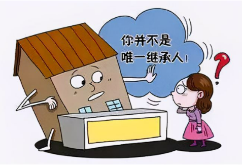 专业做房产继承诉讼的律所?