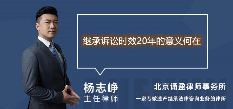 继承诉讼时效20年的意义何在