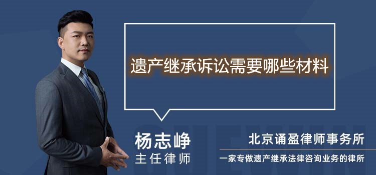 遗产继承诉讼需要哪些材料